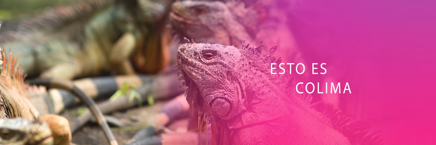 colimasabe's profile banner image