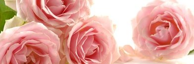 EtaGammaOmega's profile banner image