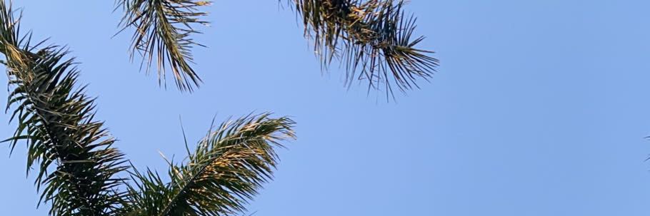 stevenguum's profile banner image