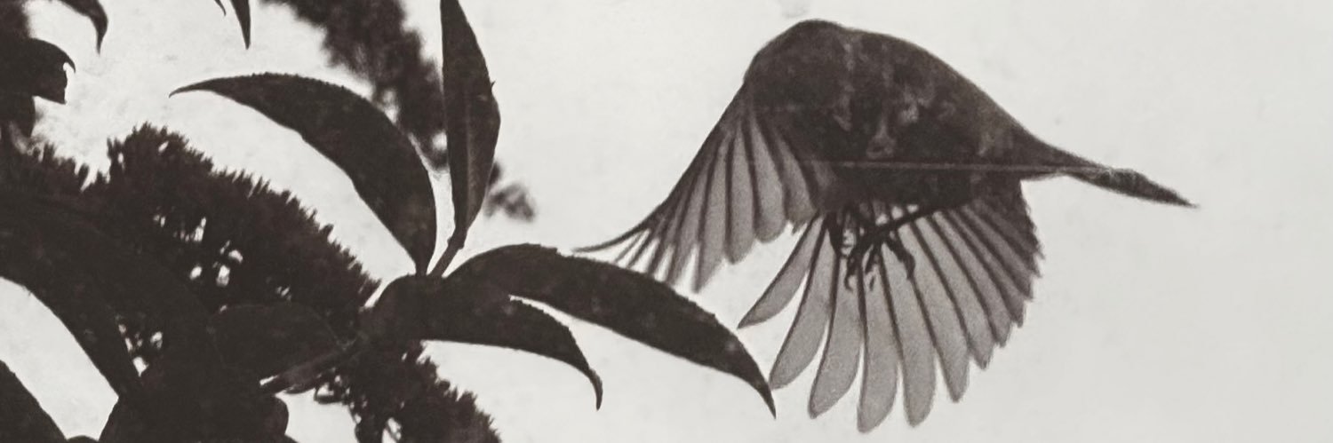 GregoryMcCool's profile banner image