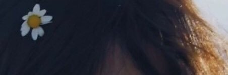 mariaamildred's profile banner image