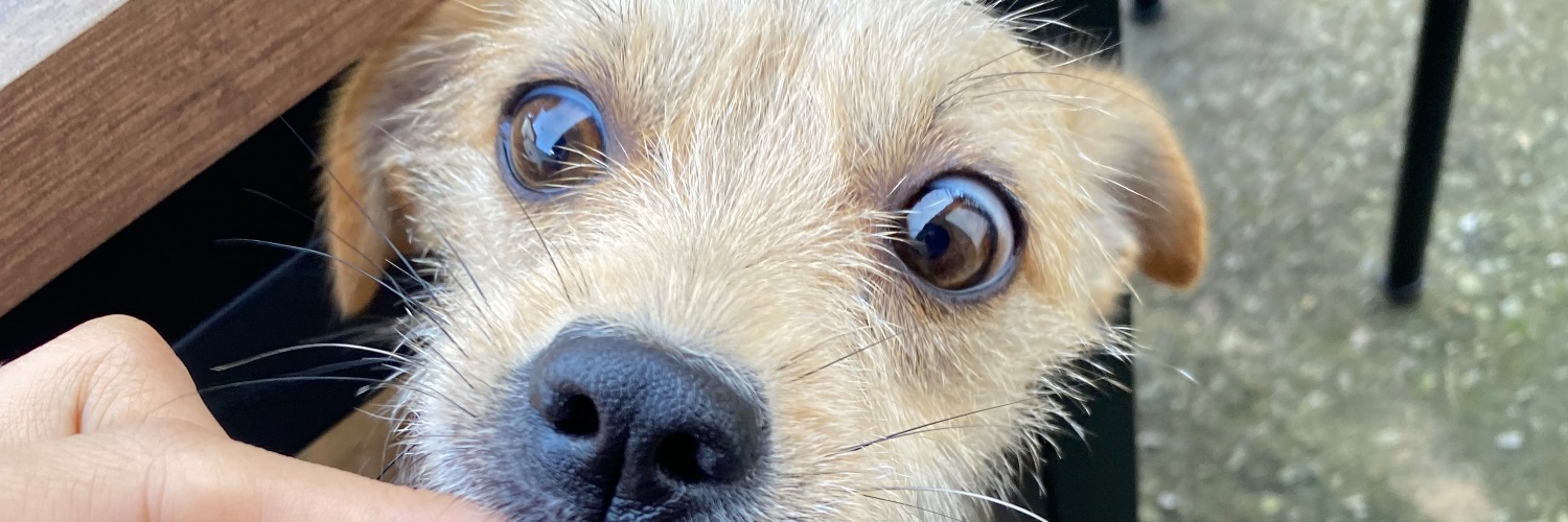 kessssz's profile banner image