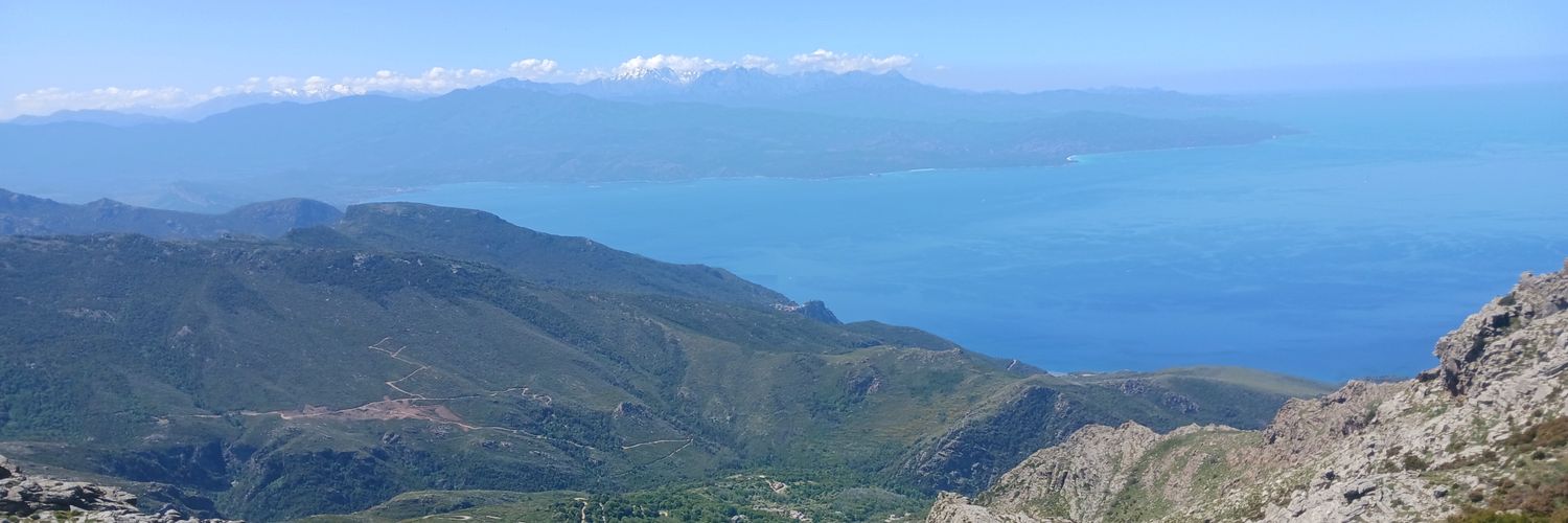 upentone's profile banner image