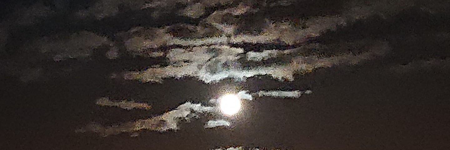 The_Real_Sonic's profile banner image