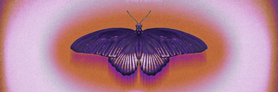 _touchofvenus's profile banner image