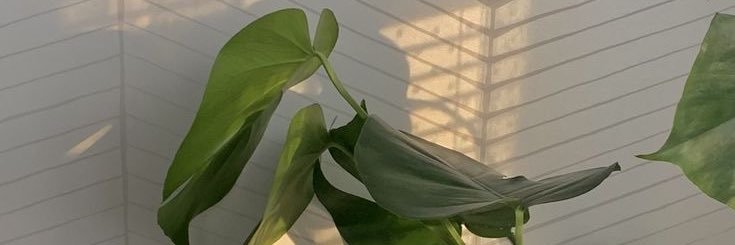 faw___'s profile banner image