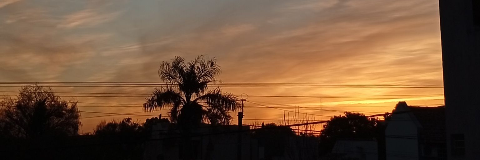 _tortaconchips's profile banner image