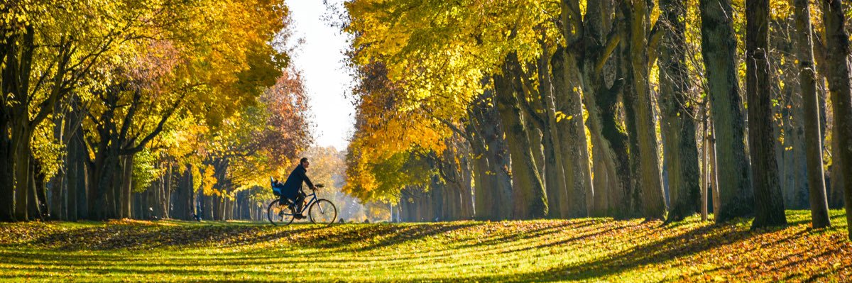 Pierre-Valéry Gaudeau banner