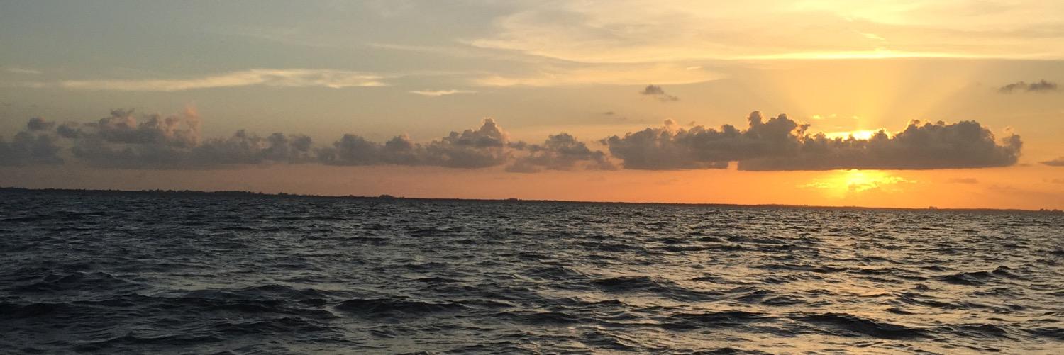 AlyssabtTerry's profile banner image