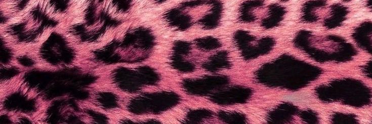 The Virgo 👄 banner