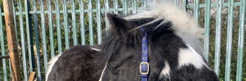 _hanlloyd's profile banner image