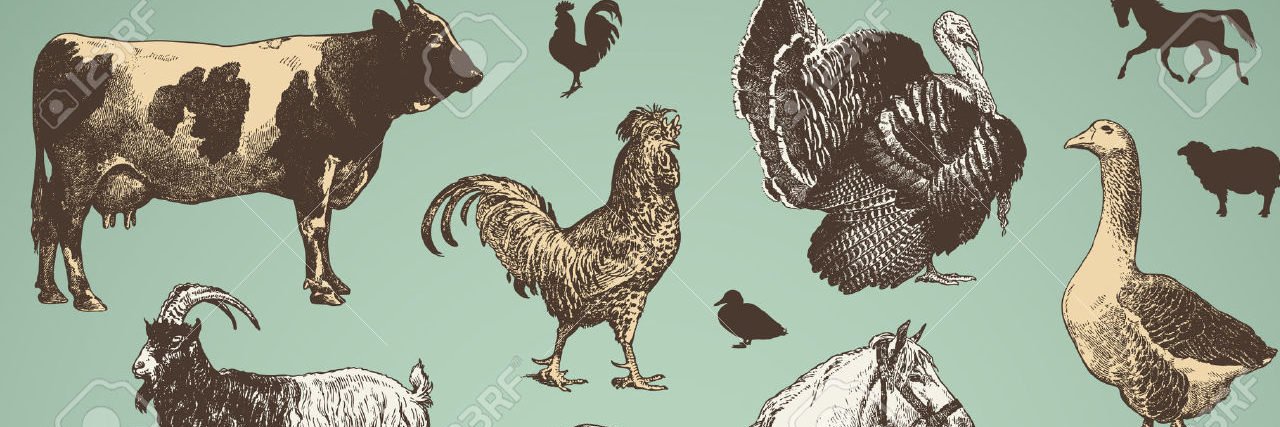 postureperfect4's profile banner image