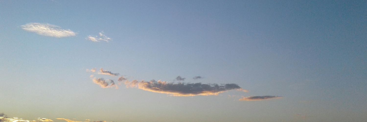 joanzest's profile banner image