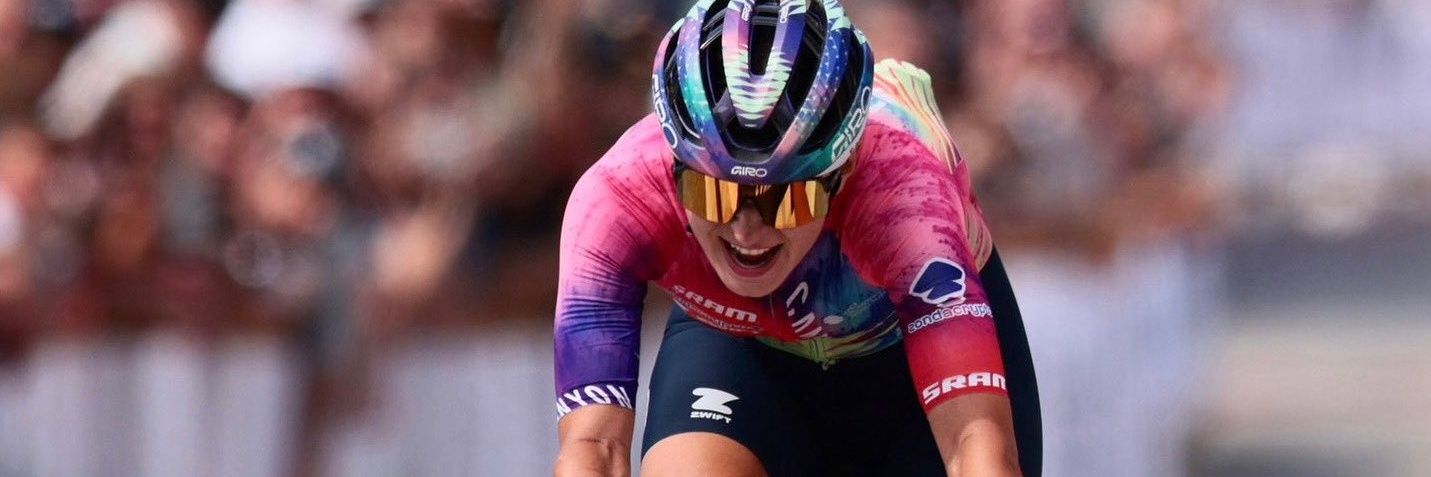 Agnieszka Skalniak-Sójka banner