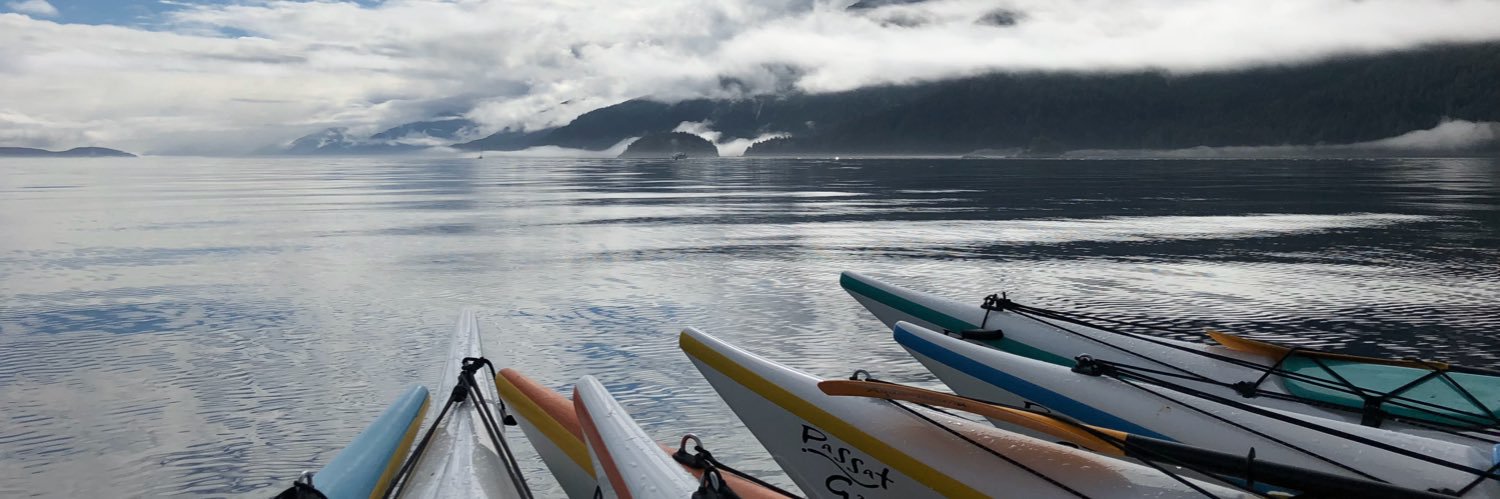 Candace Borchert banner