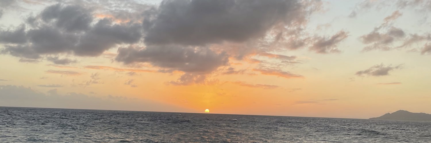 meliakohl's profile banner image
