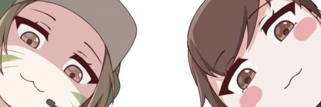 ForWaifuz's profile banner image