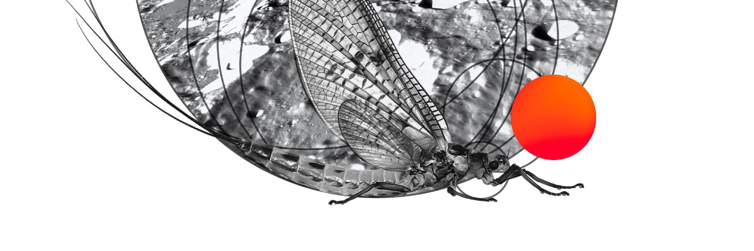 jingquank's profile banner image