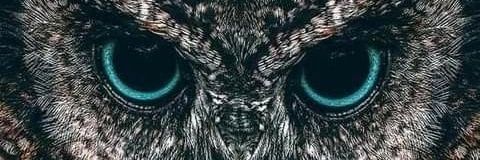 AliMohsenAli's profile banner image
