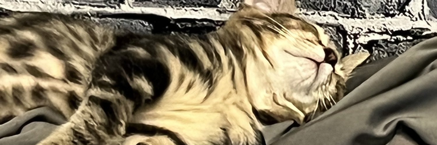 rnrn__33's profile banner image