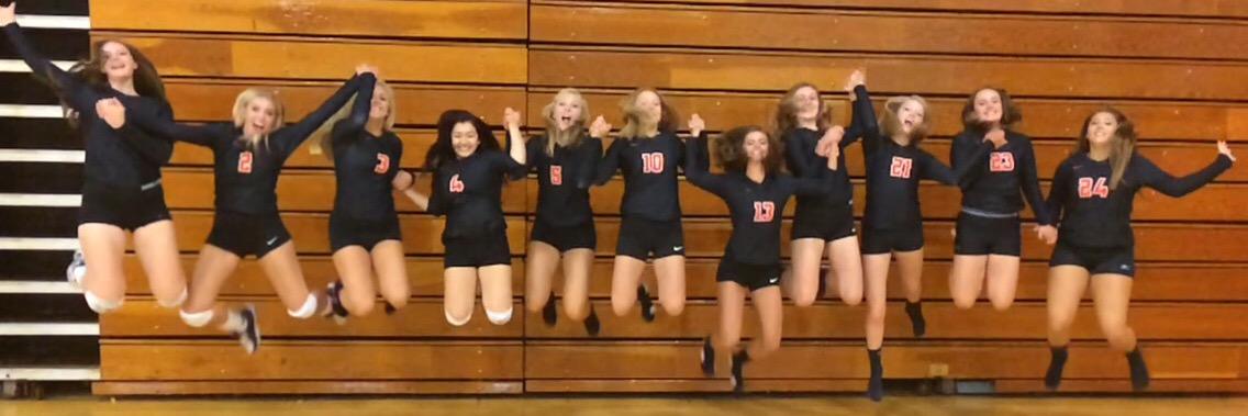 WAOVOLLEYBALL's profile banner image