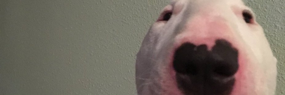 BanjoRiffs's profile banner image
