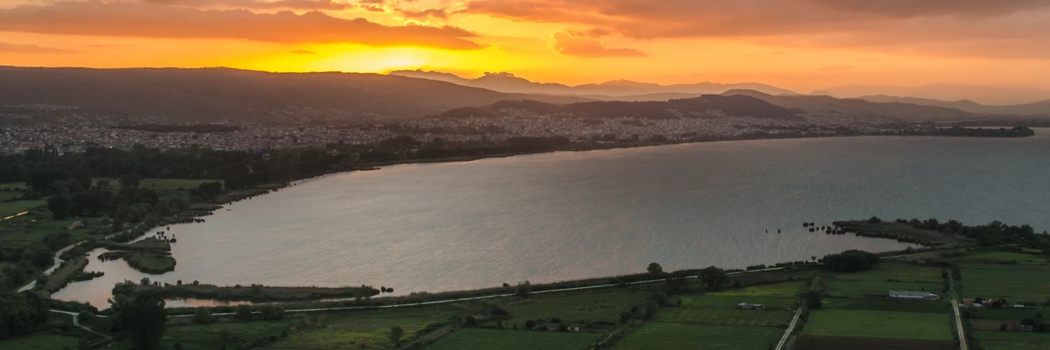 npaul1983's profile banner image