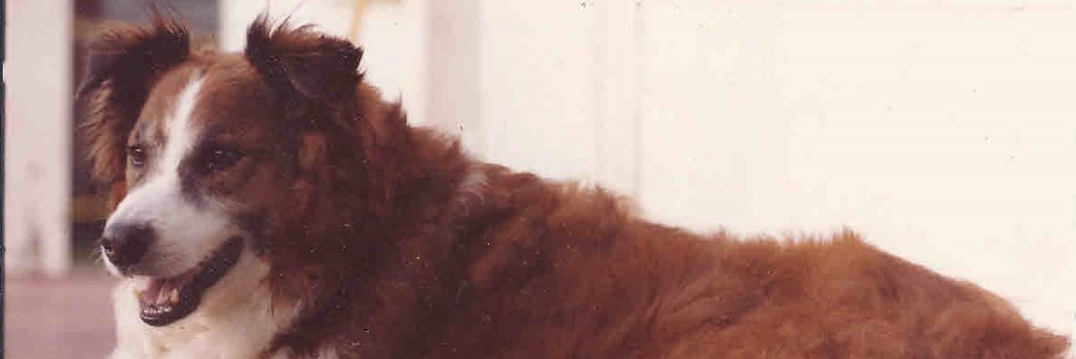 Rebeckajg2's profile banner image