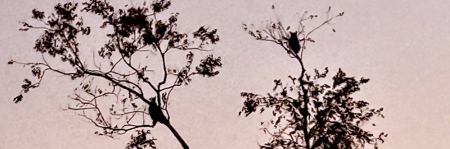 blancberto's profile banner image