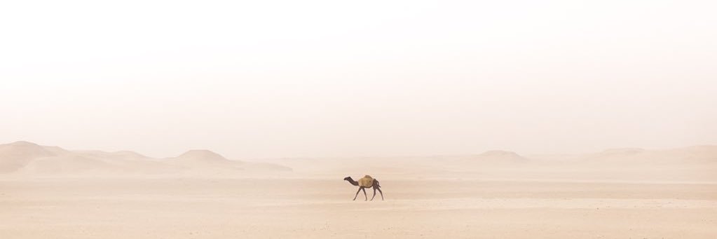 iarefe's profile banner image