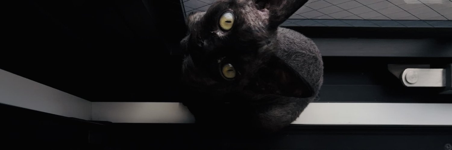 yoru_devon_rex's profile banner image