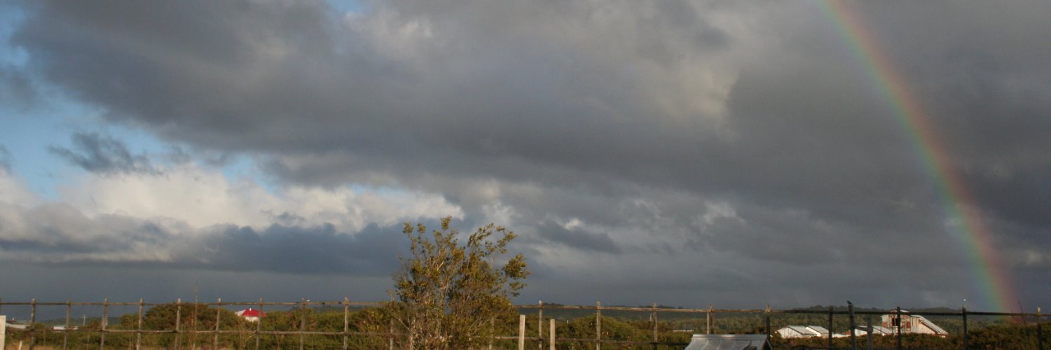 cstangeb's profile banner image