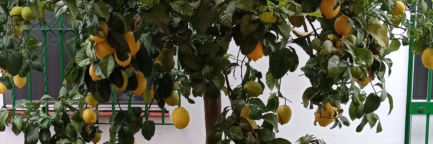 AVeranoD's profile banner image