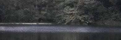 SimonMuriungi's profile banner image