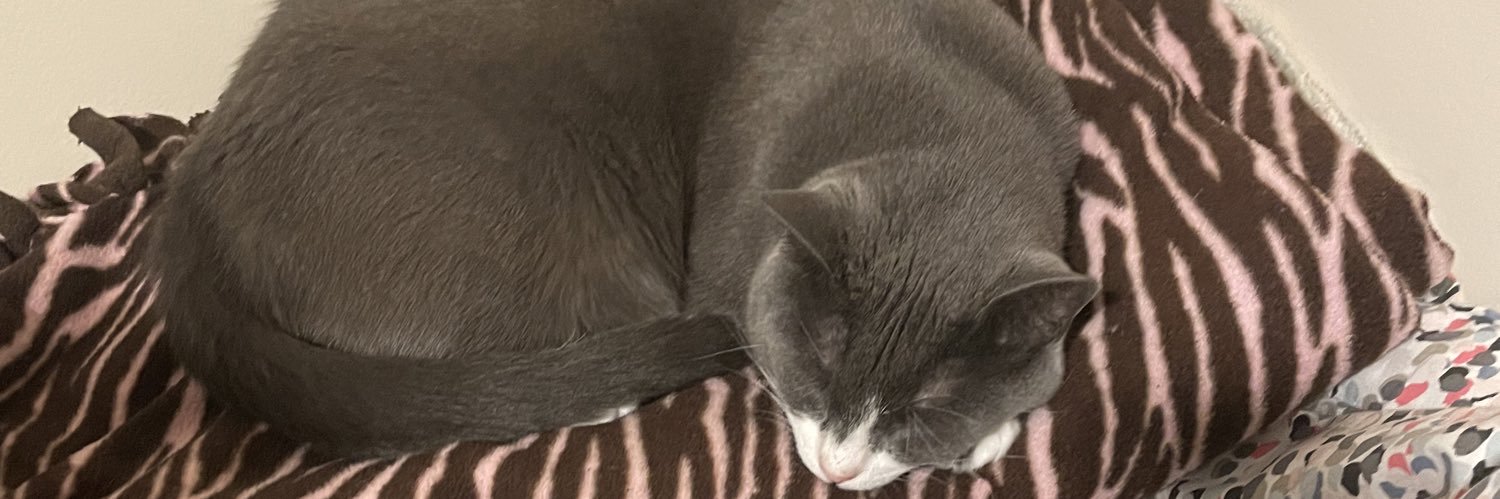 Willow Renée 🏳️‍⚧️🇵🇸🇺🇦 banner