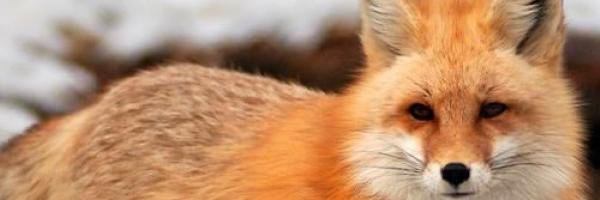 JennaManderlyHP's profile banner image