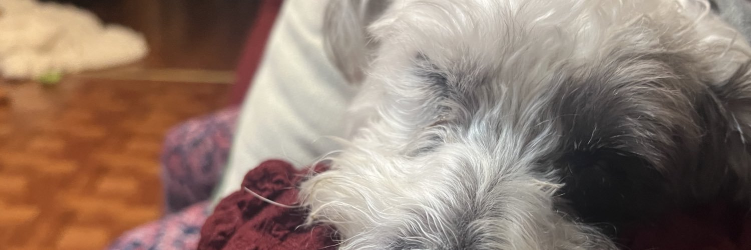 FloJaime01's profile banner image