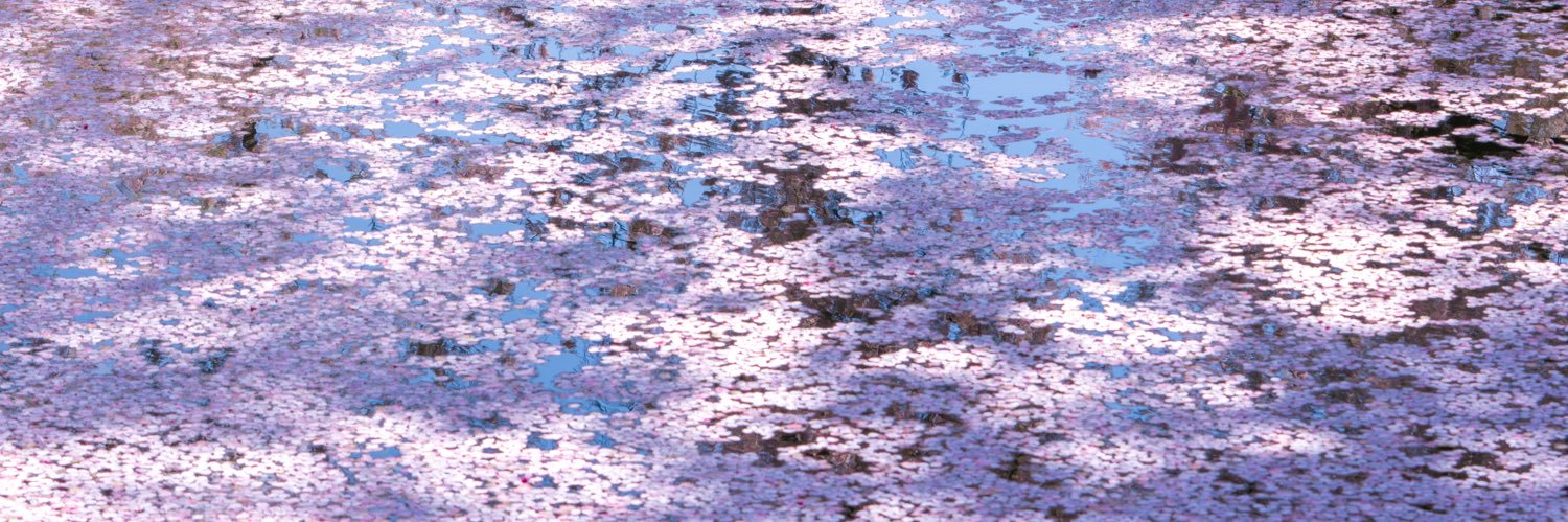 moonlight__0205's profile banner image