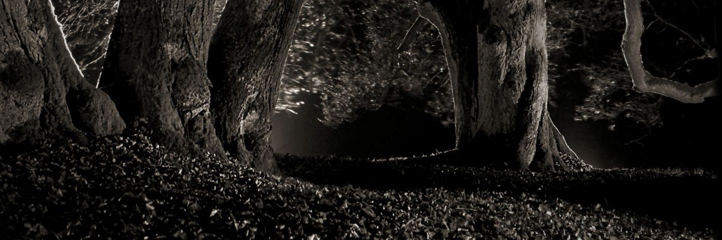 BenevolentVio's profile banner image