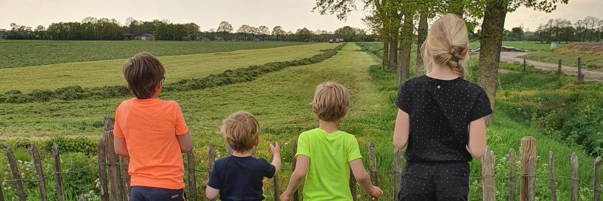 hemmermj's profile banner image