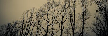 Heurte_fr's profile banner image