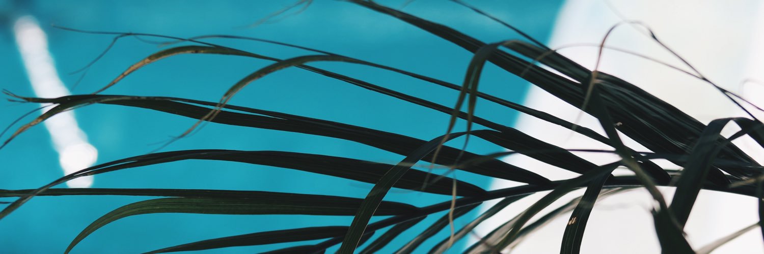 summerhaleyb's profile banner image