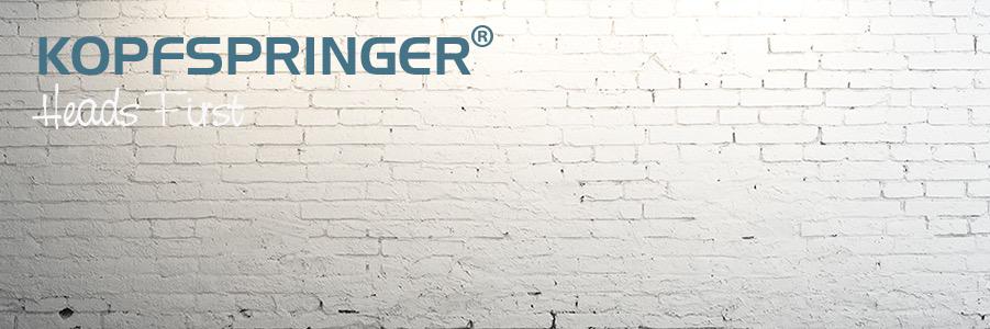 kopfspringer_NB's profile banner image