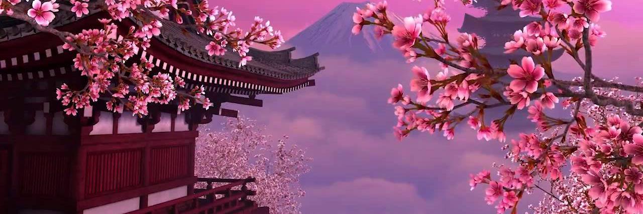 SamraMbarki's profile banner image