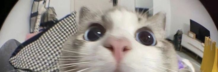 kymieex's profile banner image