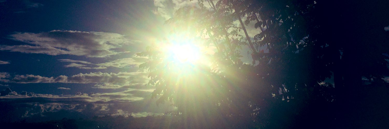 darylsenato's profile banner image