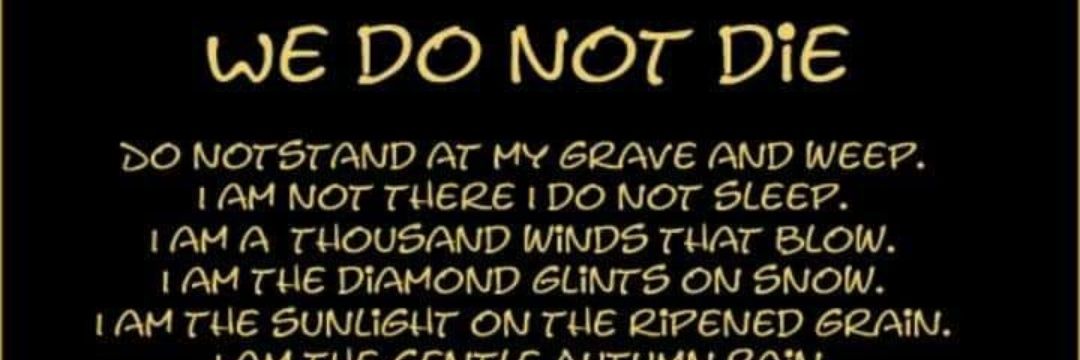 HandyNiki's profile banner image