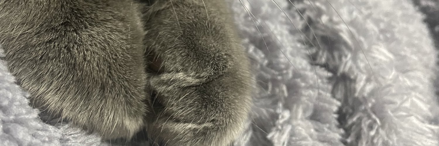 Ecriiinmtlu's profile banner image