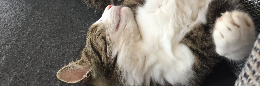 subzerine's profile banner image