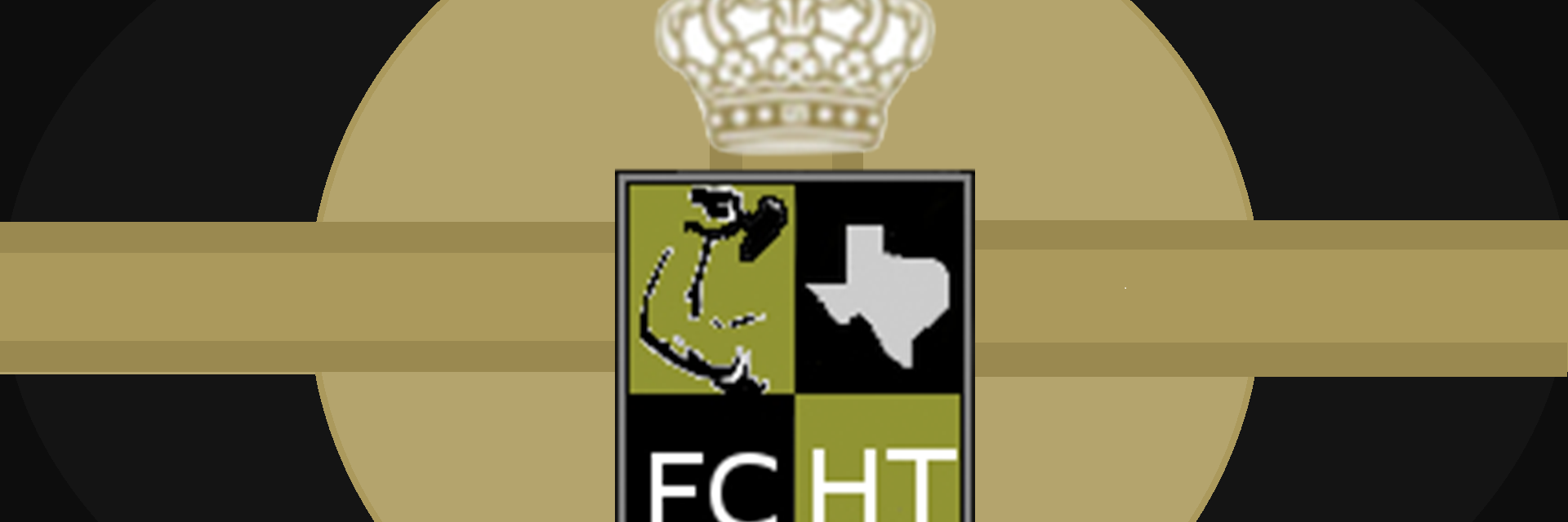 fchammertime's profile banner image